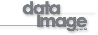 Data Image logo
